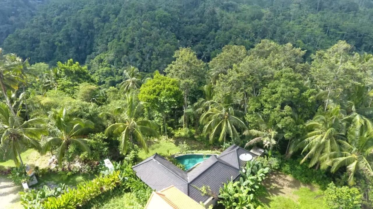 Amara Giri 1 Villa Ubud Dış mekan fotoğraf
