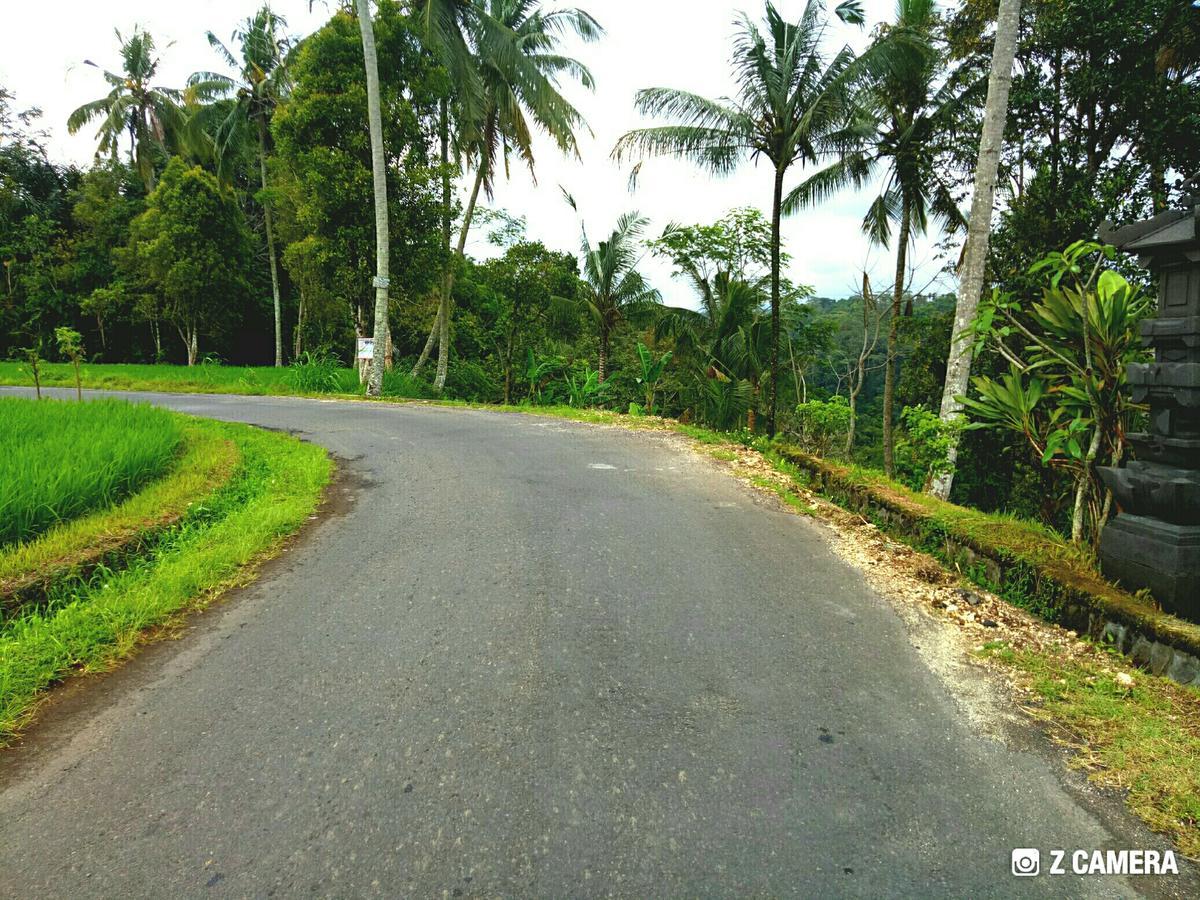 Amara Giri 1 Villa Ubud Dış mekan fotoğraf