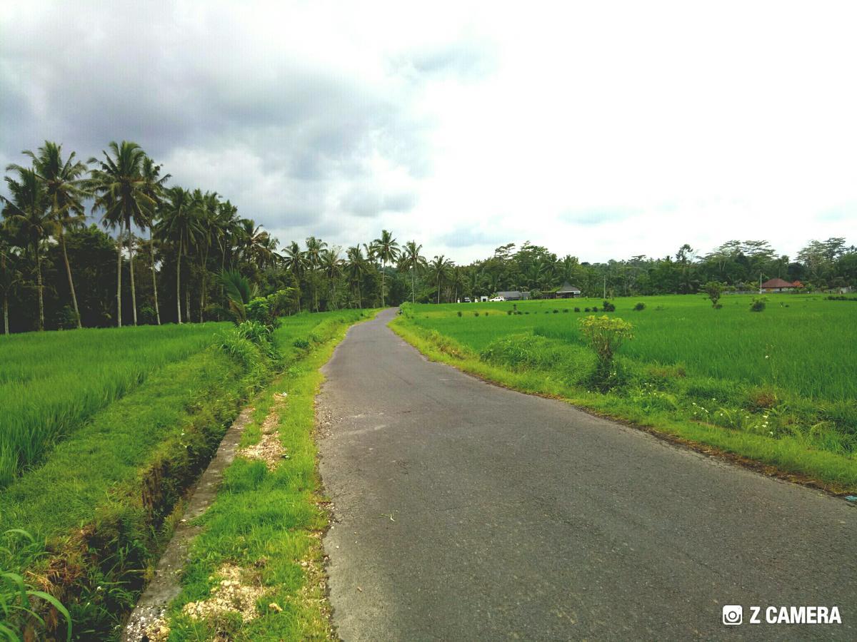 Amara Giri 1 Villa Ubud Dış mekan fotoğraf
