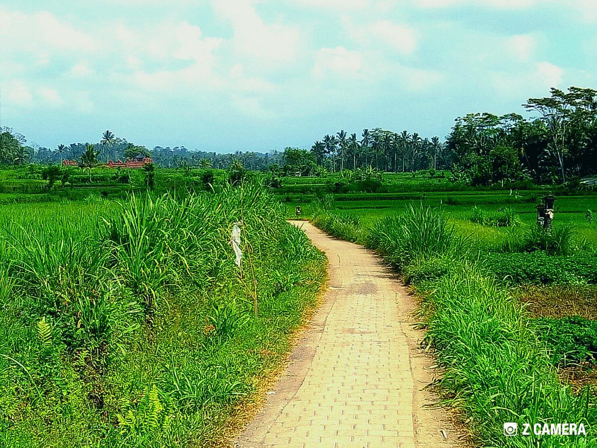 Amara Giri 1 Villa Ubud Dış mekan fotoğraf
