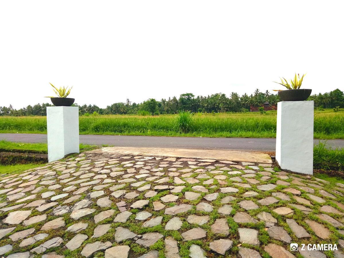 Amara Giri 1 Villa Ubud Dış mekan fotoğraf