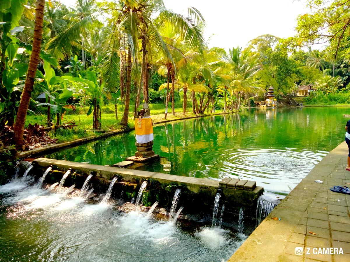 Amara Giri 1 Villa Ubud Dış mekan fotoğraf