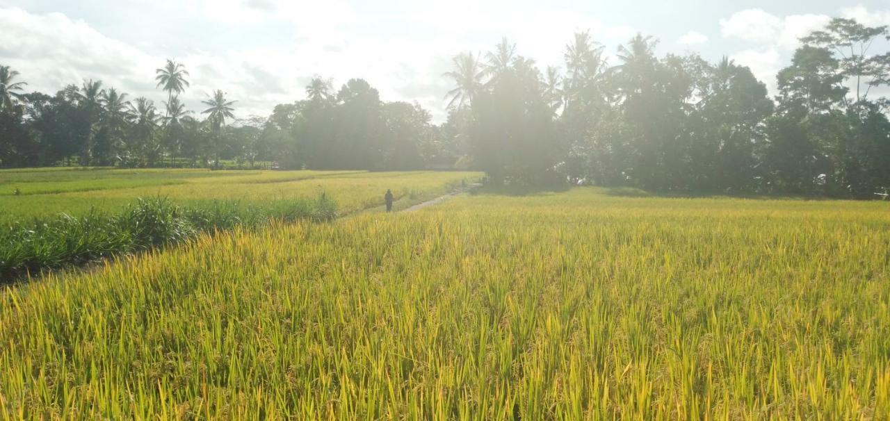 Amara Giri 1 Villa Ubud Dış mekan fotoğraf